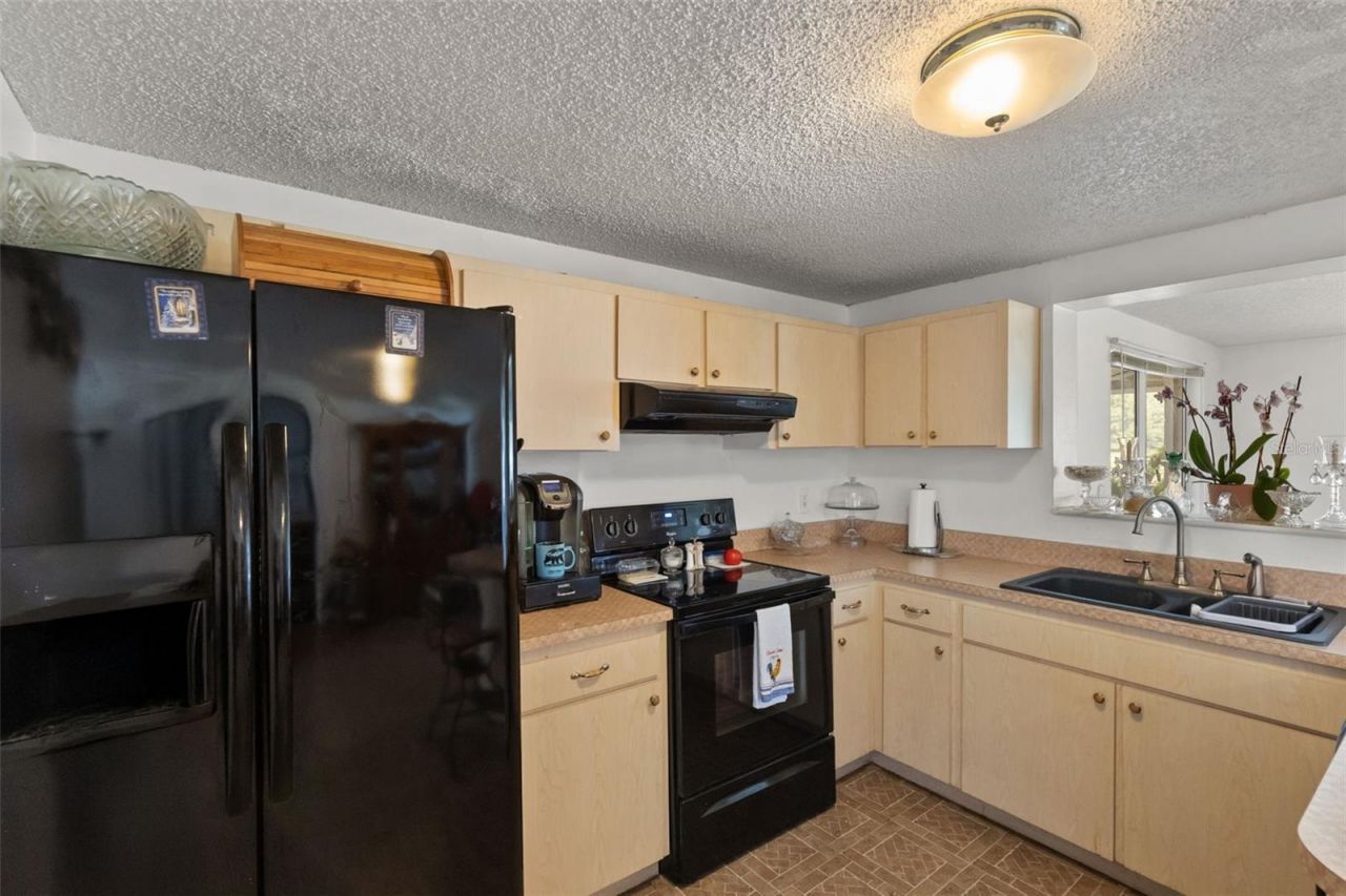 12631 Hobson Simmons Road, Lithia, FL 33547 Photo
