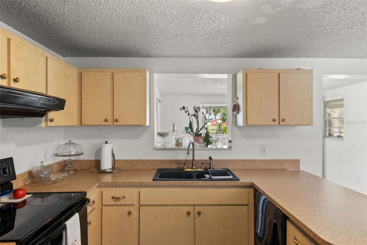 12631 Hobson Simmons Road, Lithia, FL 33547 Photo