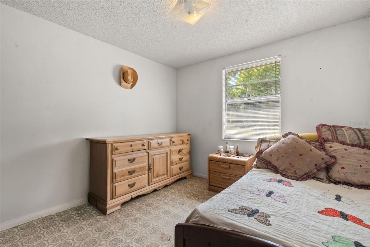 12631 Hobson Simmons Road, Lithia, FL 33547 Photo