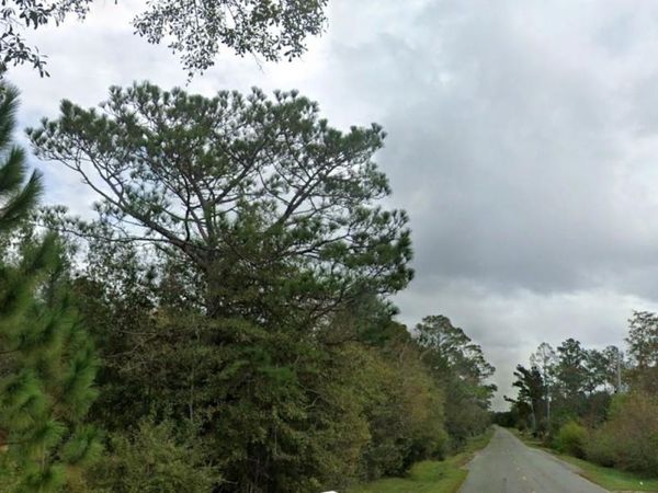 978 JOINER ROAD , CHIPLEY, FL 32428