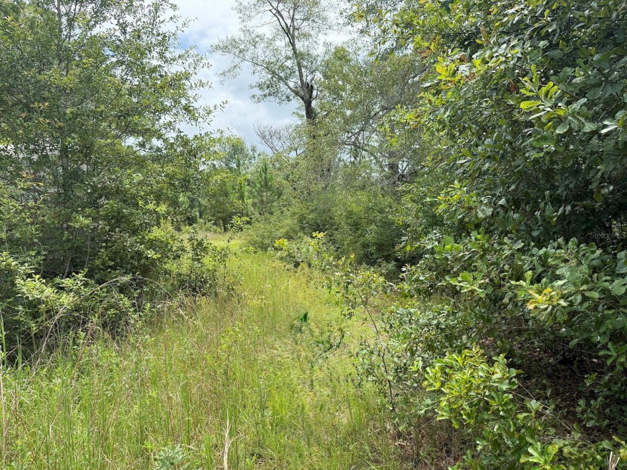 978 Joiner Road, Chipley, FL 32428 Photo