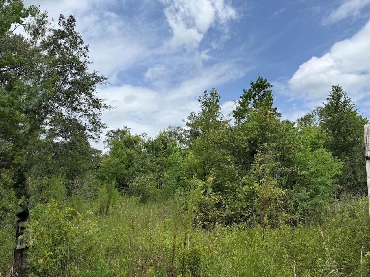 978 Joiner Road, Chipley, FL 32428 Photo