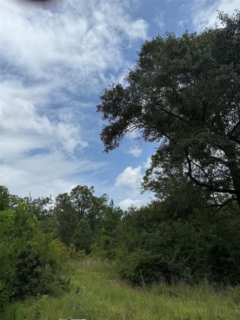 978 Joiner Road, Chipley, FL 32428 Photo