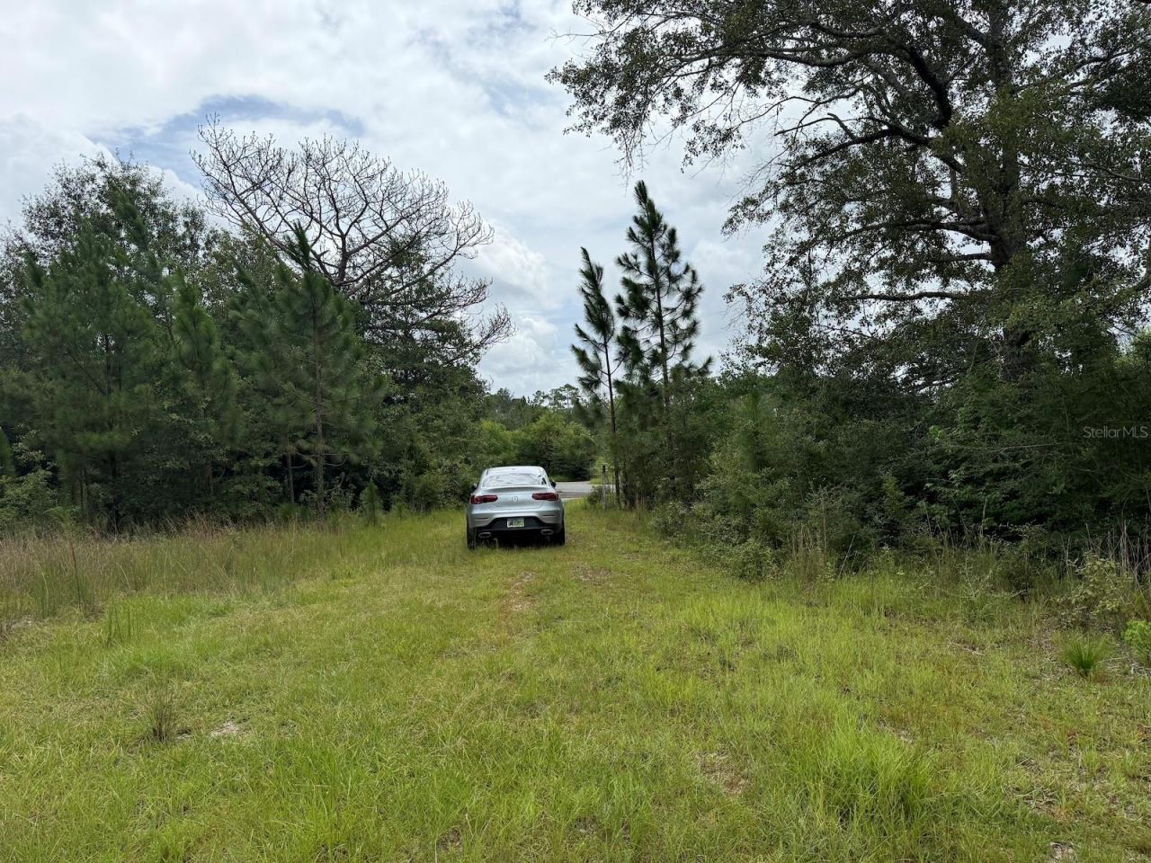 978 Joiner Road, Chipley, FL 32428 Photo