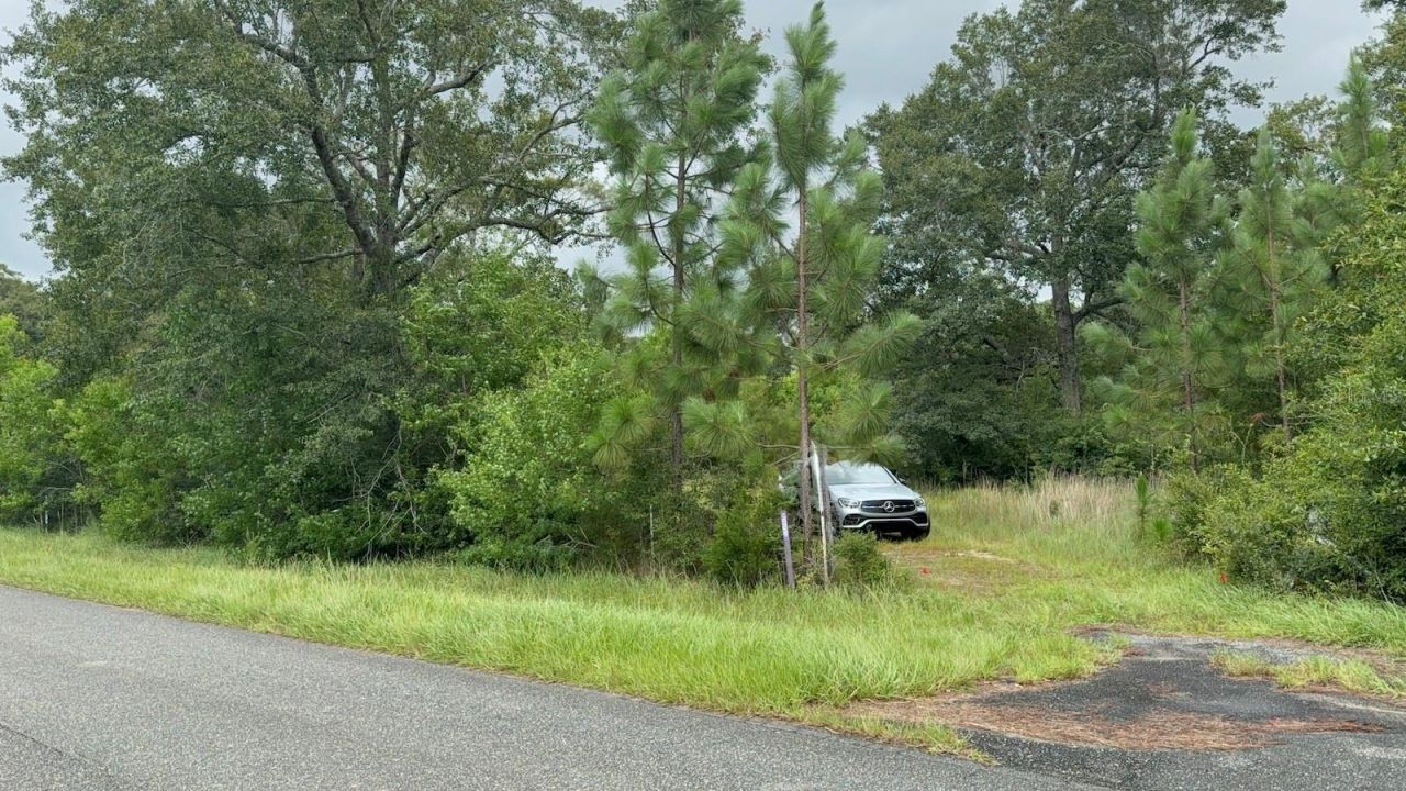 978 Joiner Road, Chipley, FL 32428 Photo