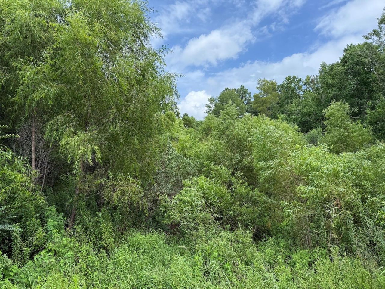 978 Joiner Road, Chipley, FL 32428 Photo