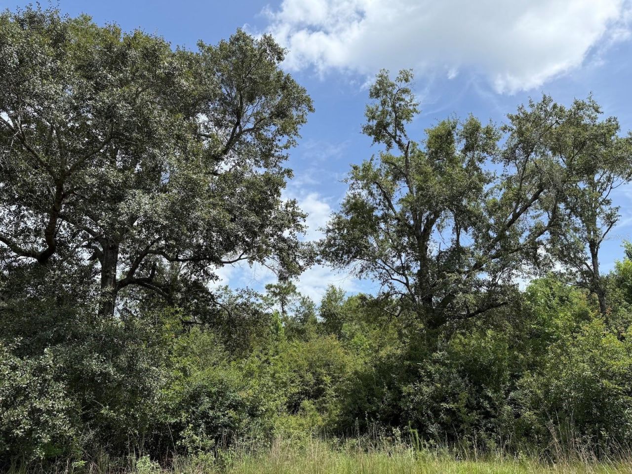 978 Joiner Road, Chipley, FL 32428 Photo