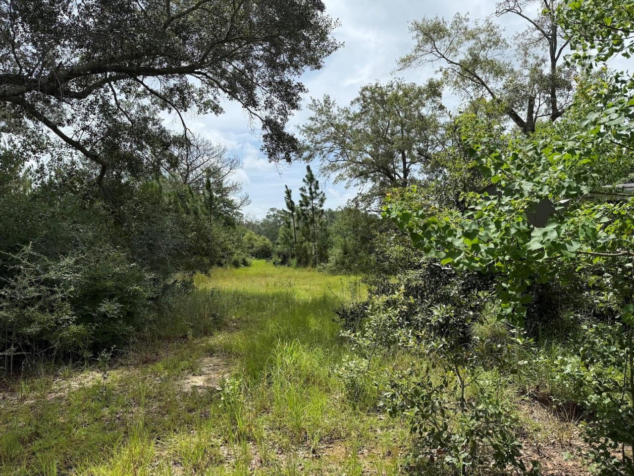 978 Joiner Road, Chipley, FL 32428 Photo