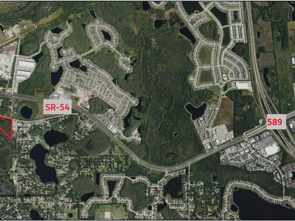14356 BLACK LAKE ROAD , ODESSA, FL 33556