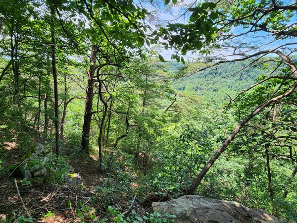 0 Eagle Point Drive, Monteagle, TN 37356