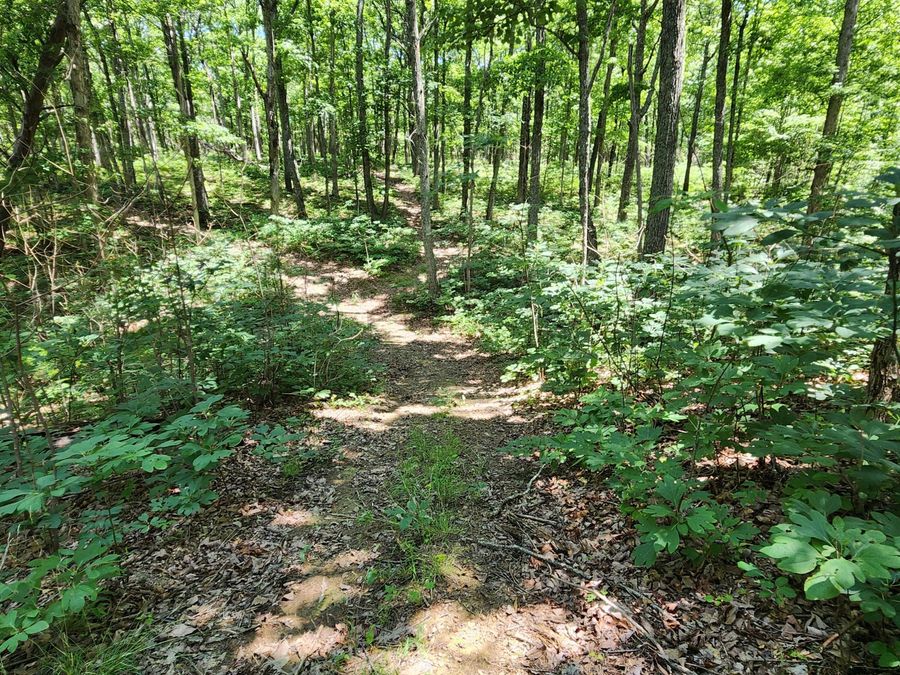 Property Image 7