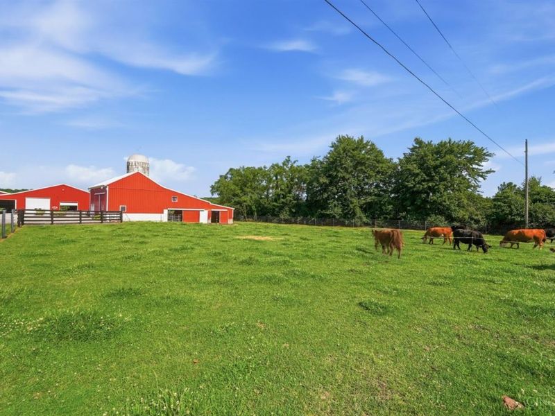 1040 Jeffery Road, Washington Township, OH 45054 Photo 85