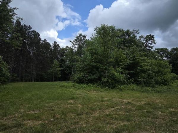 TOWER ROAD, Athelstane, WI 54104