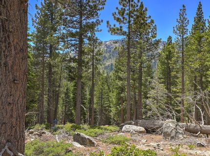 2086 Mewuk Drive, South Lake Tahoe, CA 96150 Photo