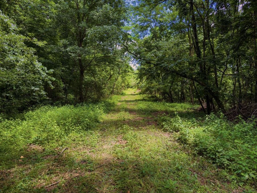 Property Image 17