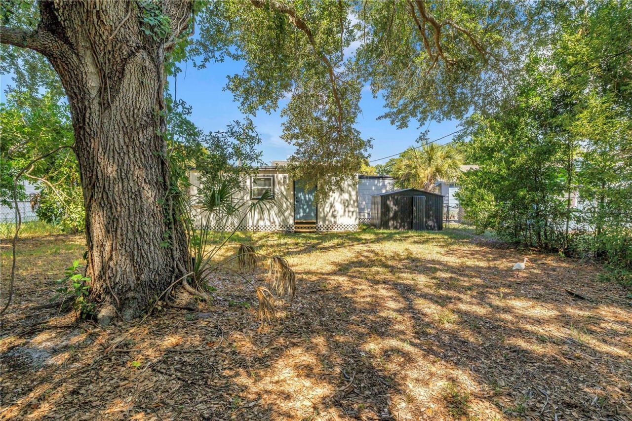 1537 39th Street S, Saint Petersburg, FL 33711 Photo