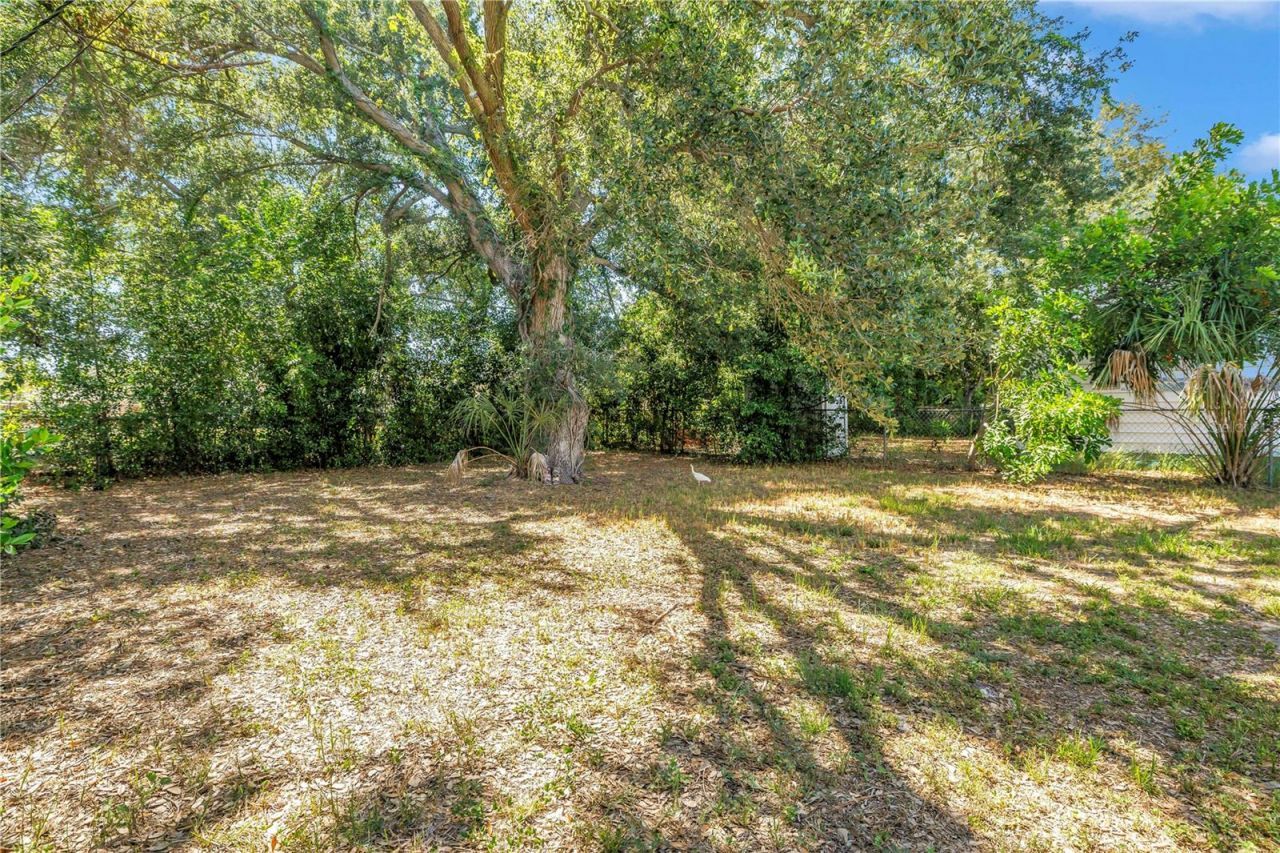 1537 39th Street S, Saint Petersburg, FL 33711 Photo