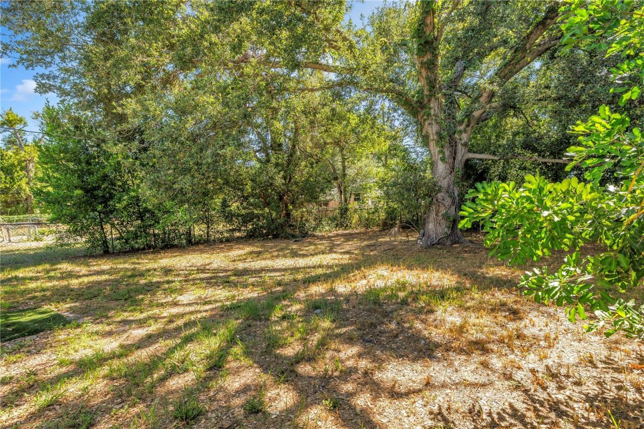 1537 39th Street S, Saint Petersburg, FL 33711 Photo