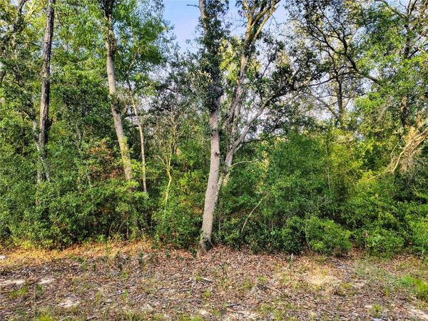 8821 NE 97TH COURT , BRONSON, FL 32621