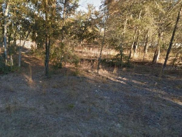 8821 NE 97TH COURT , BRONSON, FL 32621