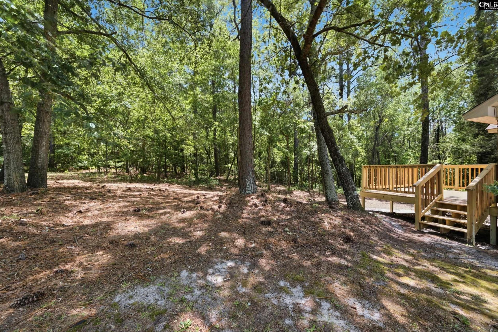 113 Maple Shade Lane  Photo 30