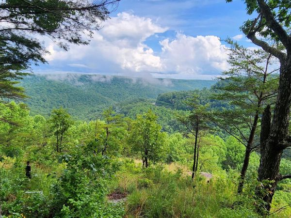 0 Eagle Point Drive, Monteagle, TN 37356