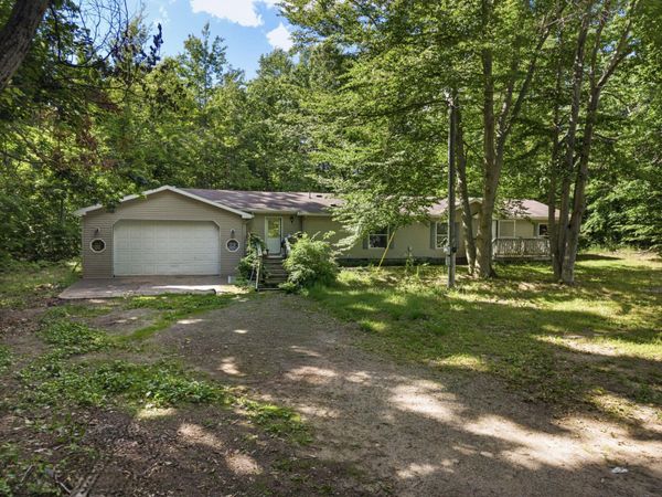 9580 S Black River Road, Onaway, MI 49765