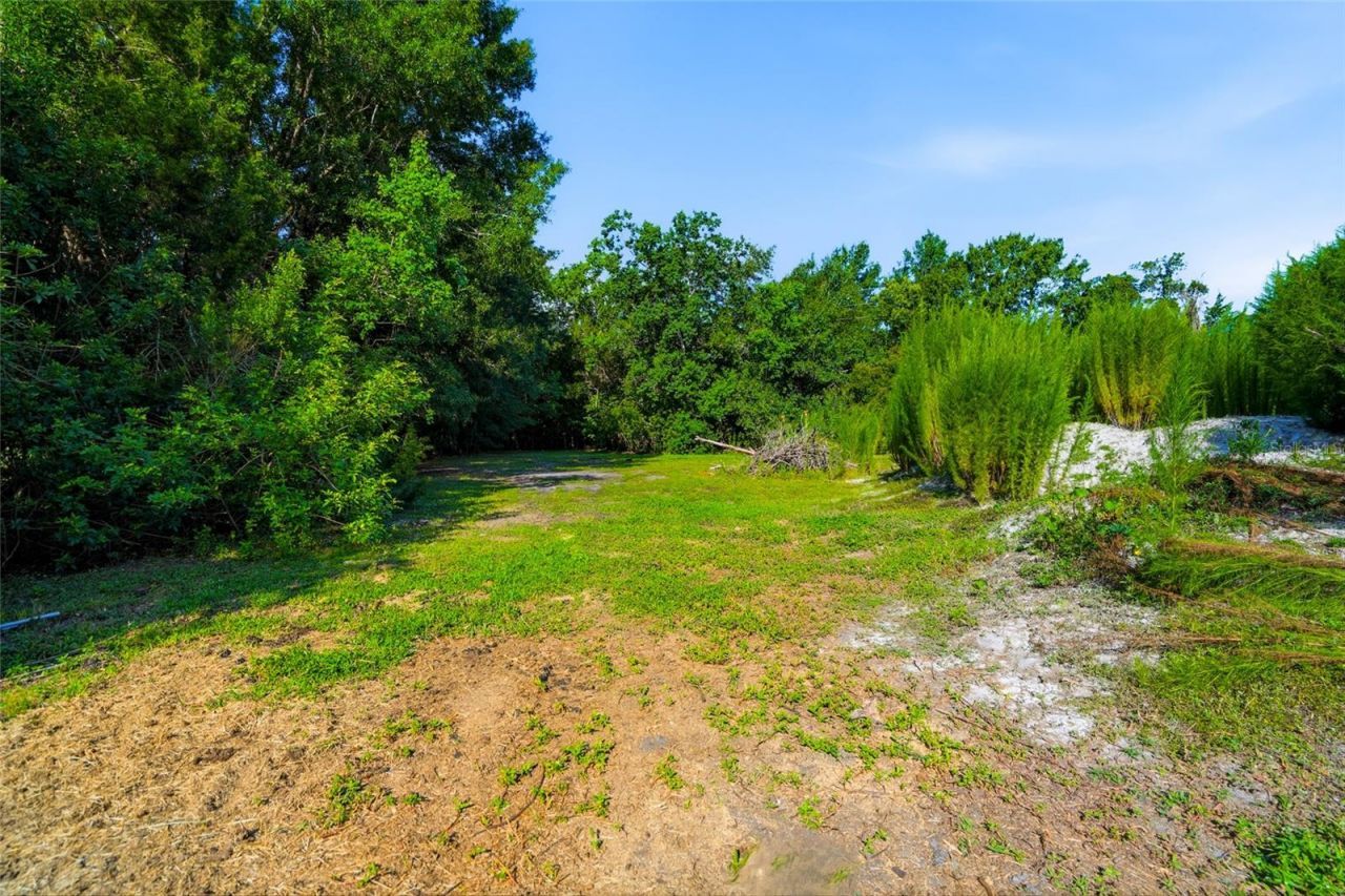 2347 Brookside Drive , Lutz, FL 33558 Photo