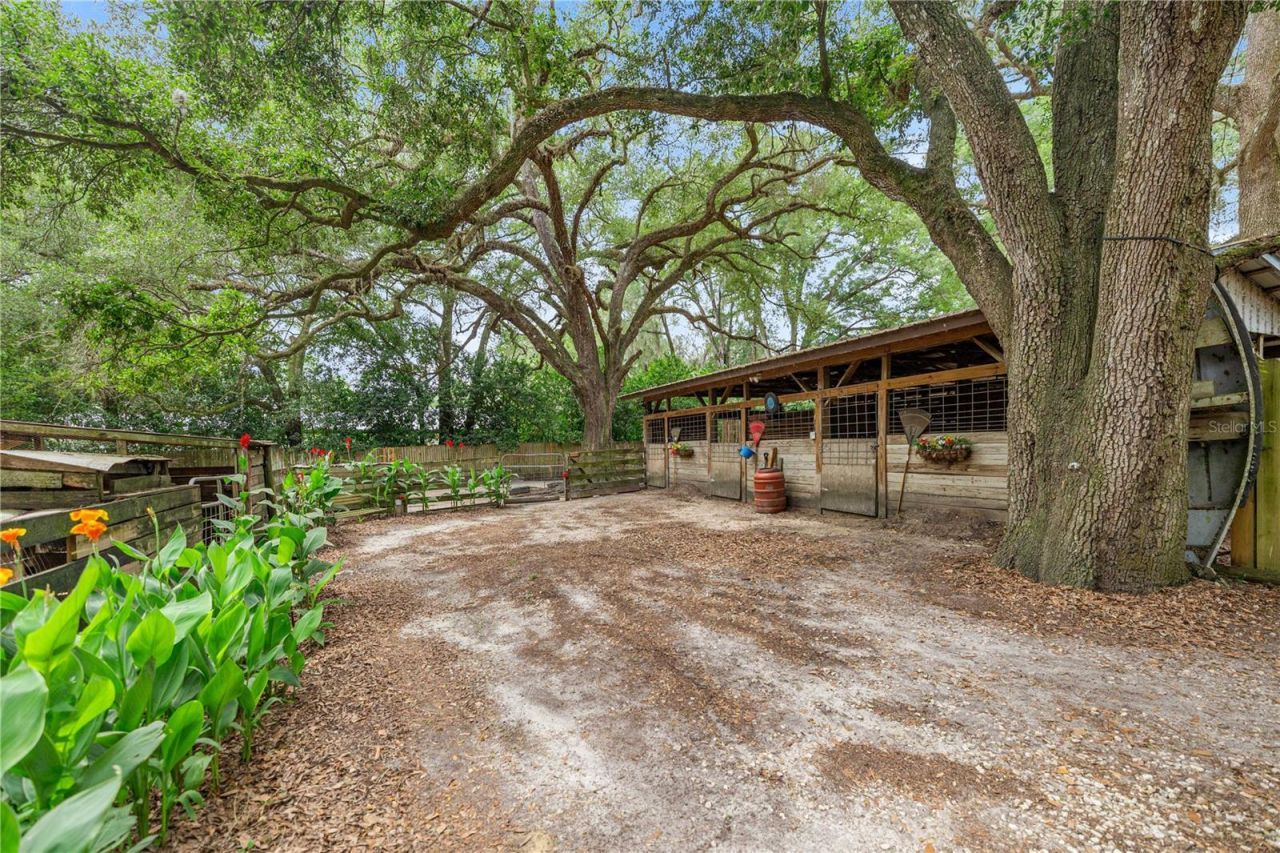 4556 E View Top Lane , Inverness, FL 34452 Photo
