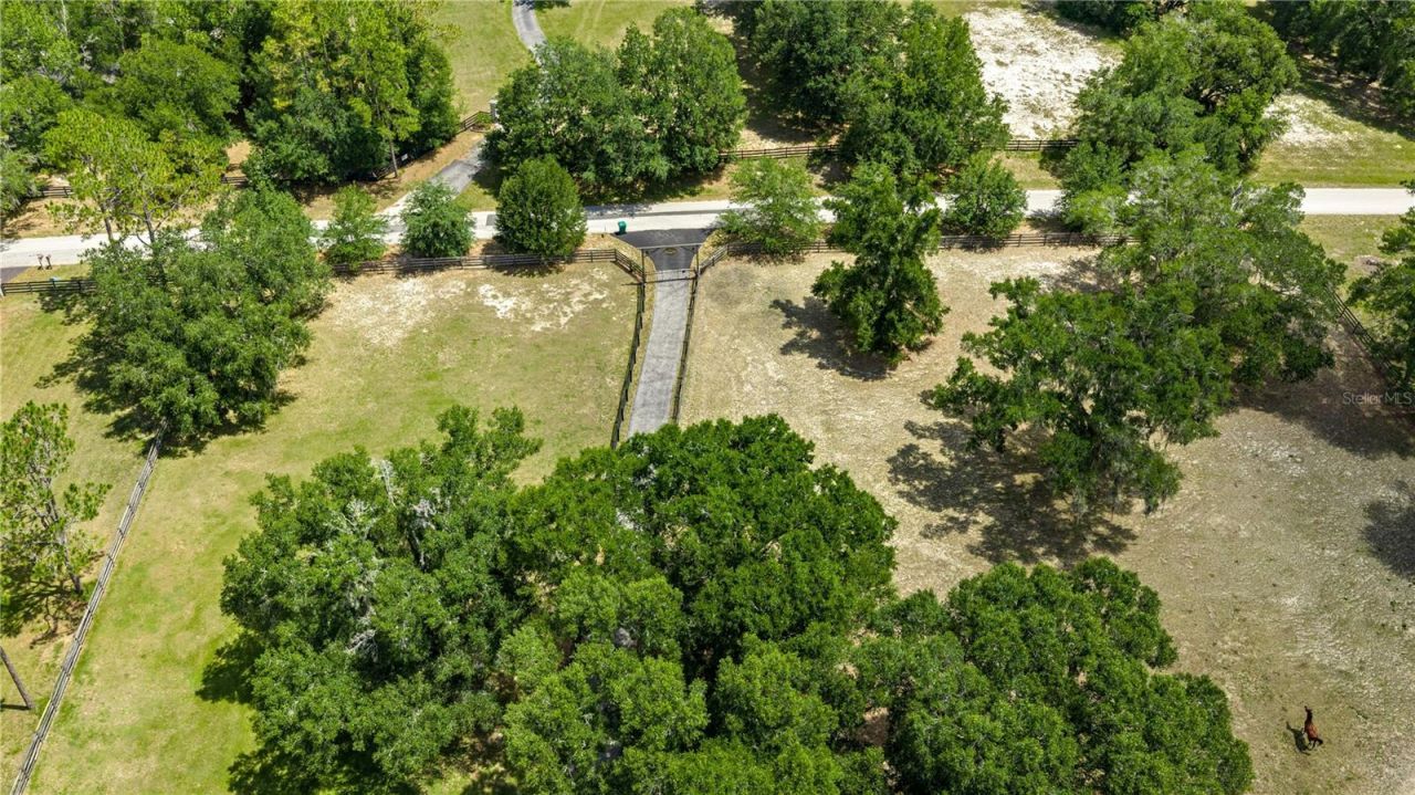 4556 E View Top Lane , Inverness, FL 34452 Photo
