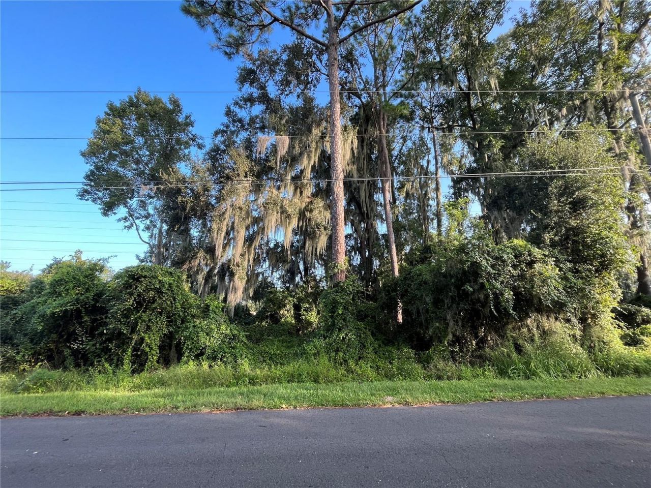 262 Toms Road , Debary, FL 32713 Photo