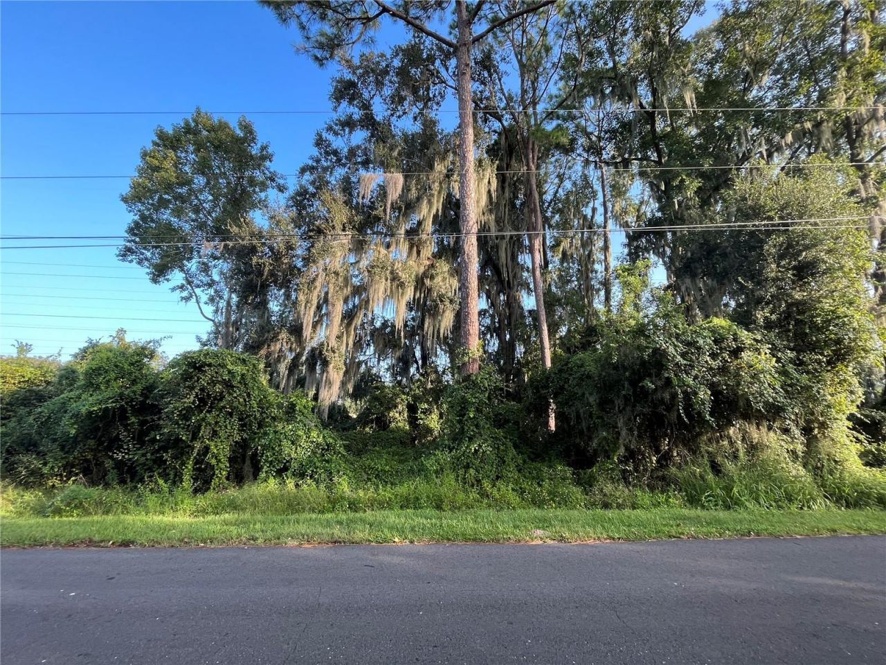 262 Toms Road , Debary, FL 32713 Photo