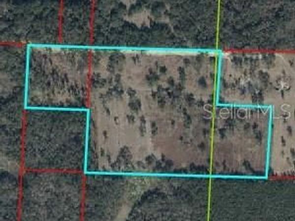 NE 172ND COURT , WILLISTON, FL 32696