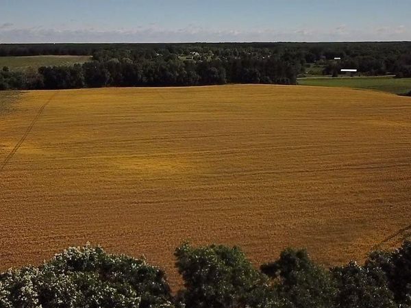 Lot 1 Block 1 87th Street SE, Becker, MN 55308