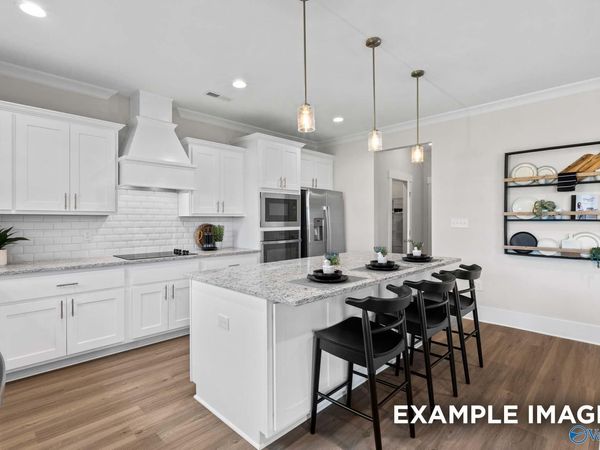 203 Cave Lake, Owens Cross Roads, AL 35763