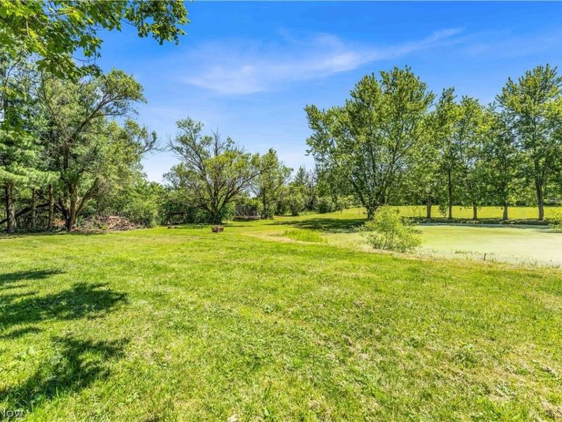 6827 Wooster Pike, Medina, OH 44256 Photo 45