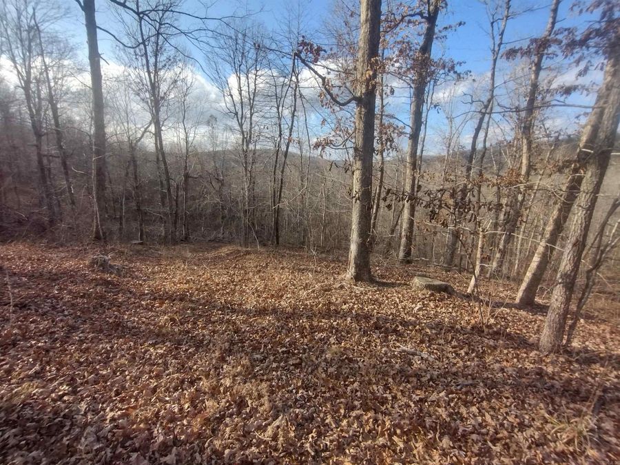Property Image 17