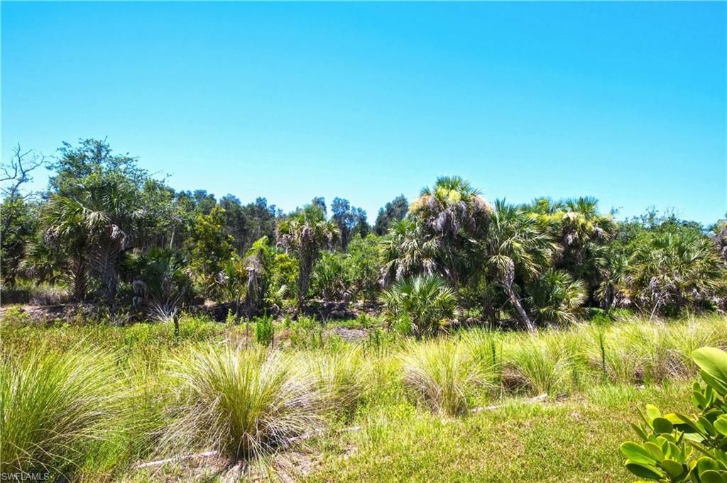 998 Enbrook Loop , Naples, FL 34114 Photo