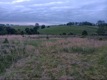 435 Stone Road, Unit Lot A, Paris, KY 40361