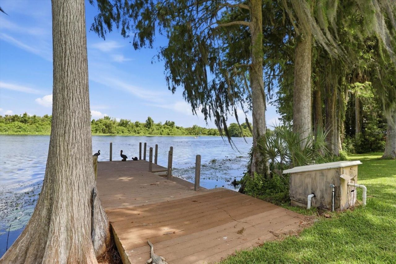 4099 W Ridge Lane, Dunnellon, FL 34433 Photo