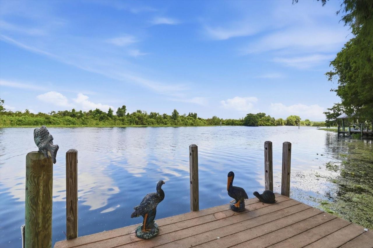 4099 W Ridge Lane, Dunnellon, FL 34433 Photo