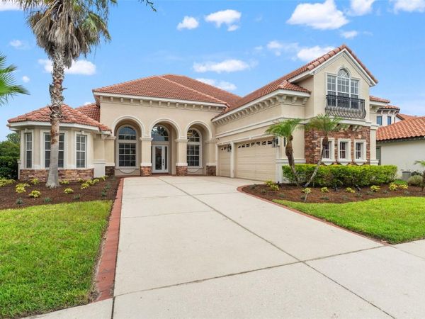 8412 DUNHAM STATION DRIVE , TAMPA, FL 33647