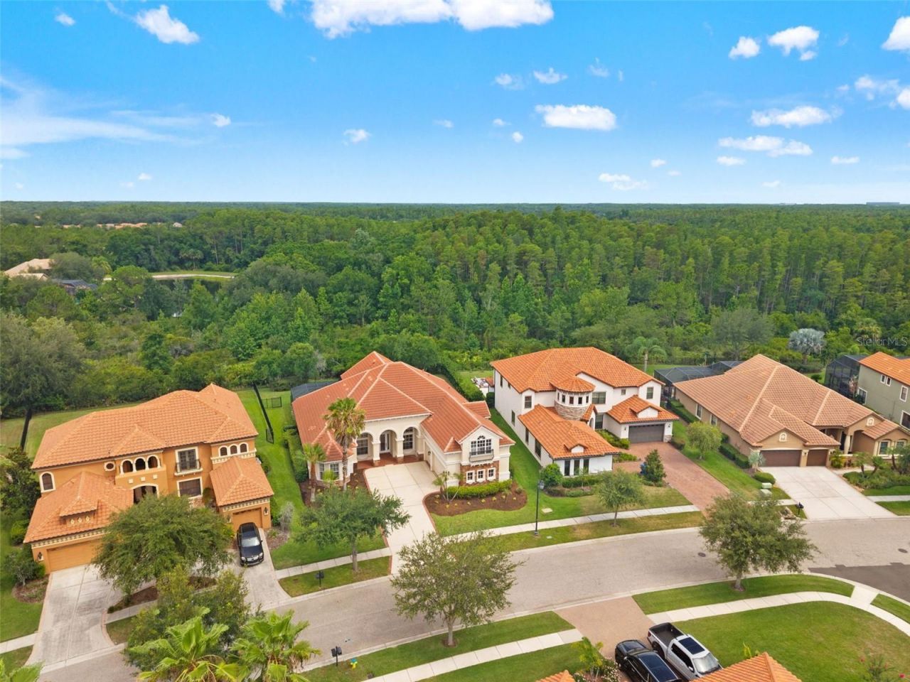 8412 Dunham Station Drive, Tampa, FL 33647 Photo