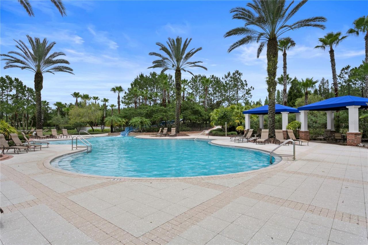 8412 Dunham Station Drive, Tampa, FL 33647 Photo
