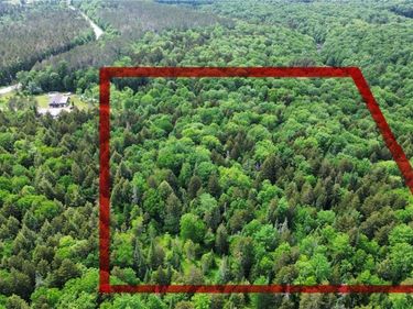 Lot 112 Rt-8, Cold Brook, NY 13324