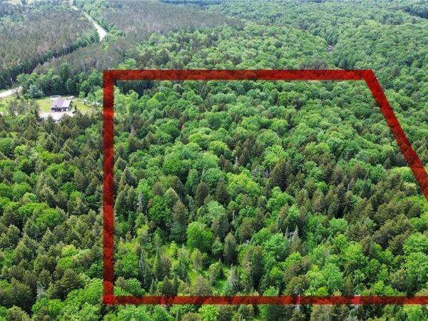 Lot 112 Rt-8 , Cold Brook, NY 13324