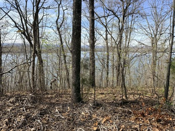 8 Johnson Lane, Unit 8, Ten Mile, TN 37880