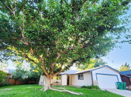 3615 4th Street, Unit none, Sparks, NV 89431 Photo