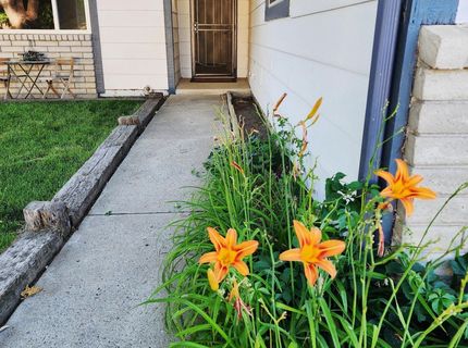 3615 4th Street, Unit none, Sparks, NV 89431 Photo