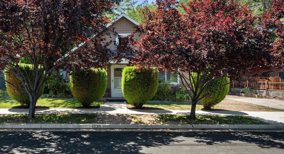 1239 Patrick Avenue, Reno, NV 89509 Photo